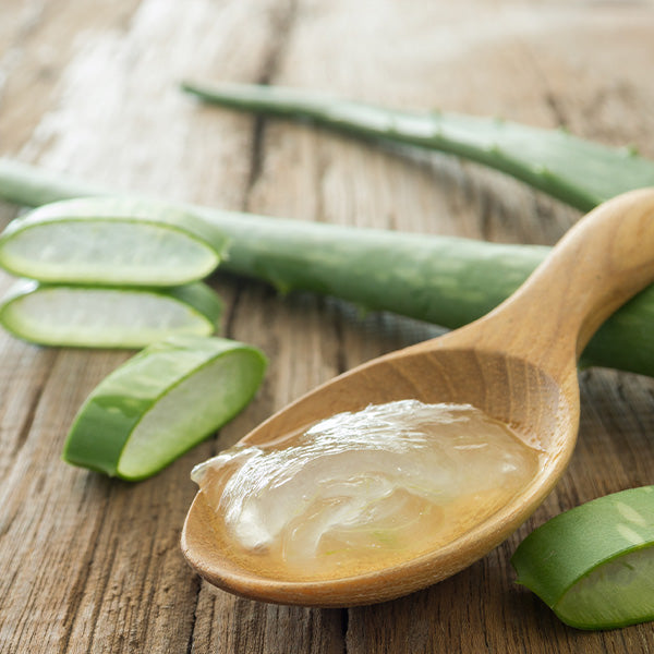 Kühlendes Aloe Vera-Gel