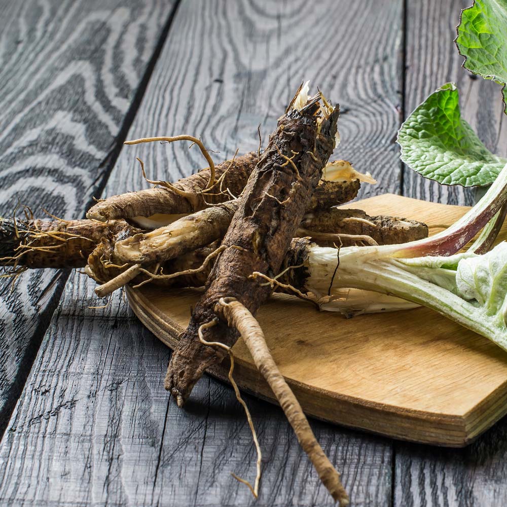 Burdock Root Oil Macerate Organic