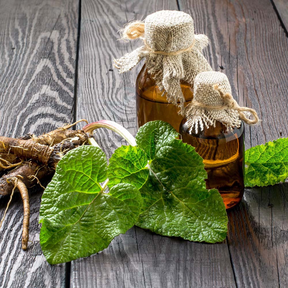 Burdock Root Oil Macerate Organic