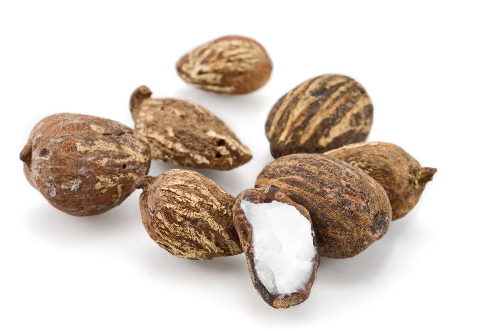 Shea Butter Organic unrefined