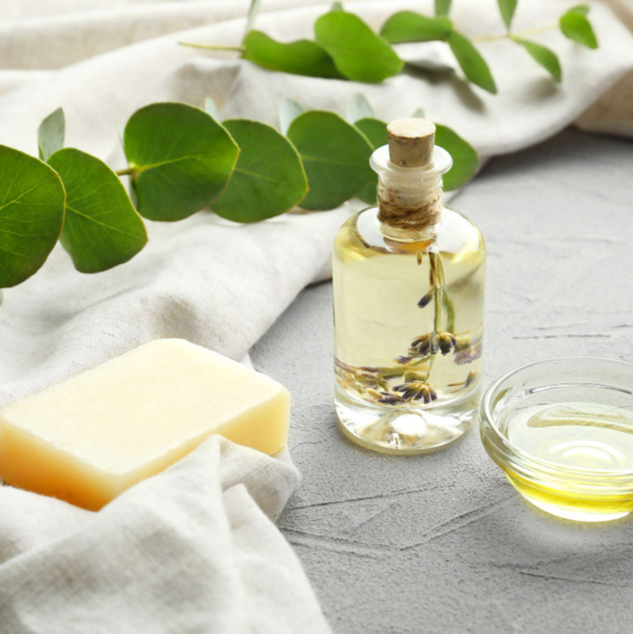 Eukalyptus Radiata 10 ml, ätherisches Öl