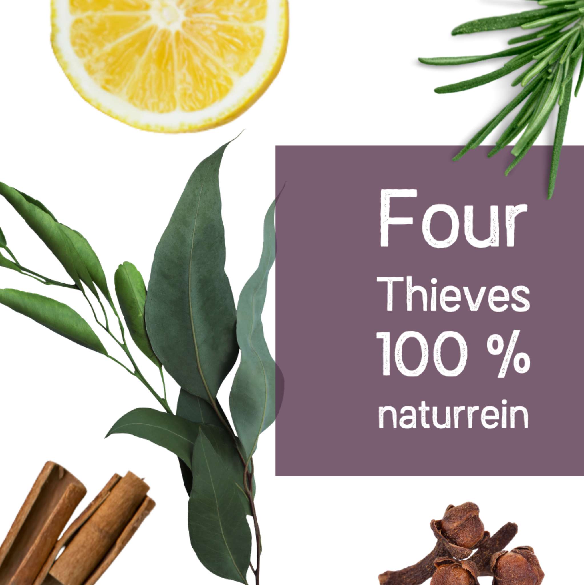 Four Thieves 10 ml, ätherische Ölmischung