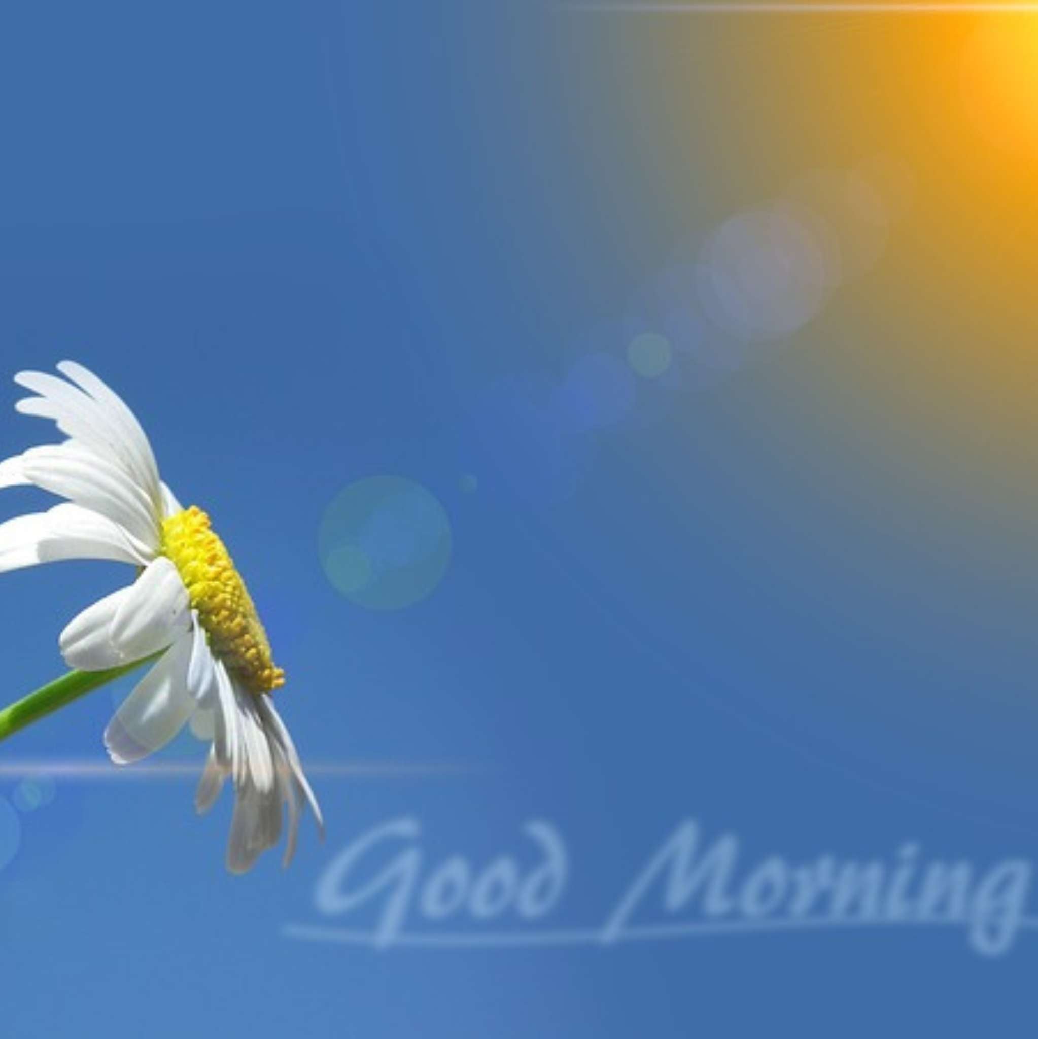 Good Morning 10 ml, ätherische Ölmischung