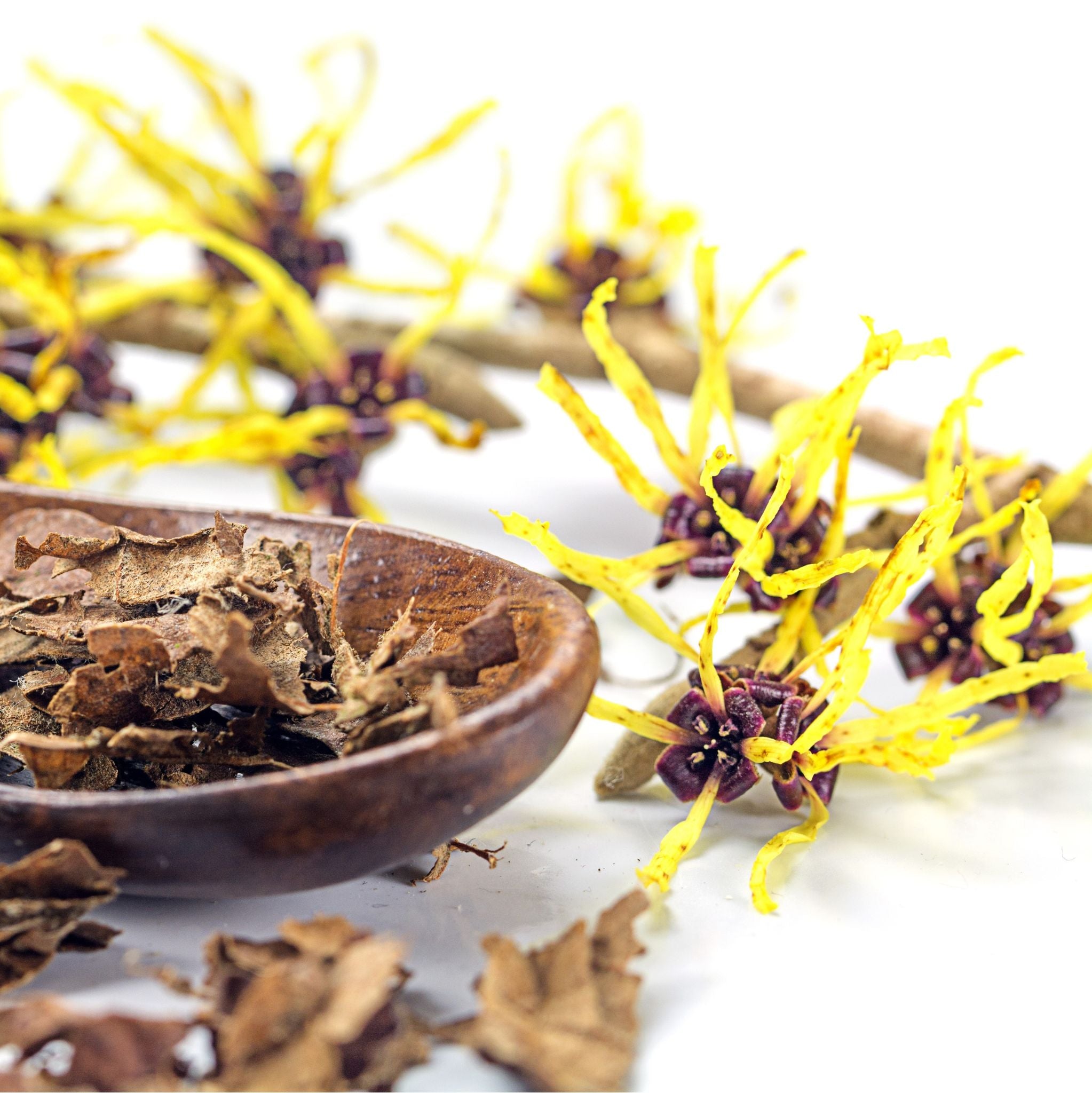 Hamamelishydrolat *BIO