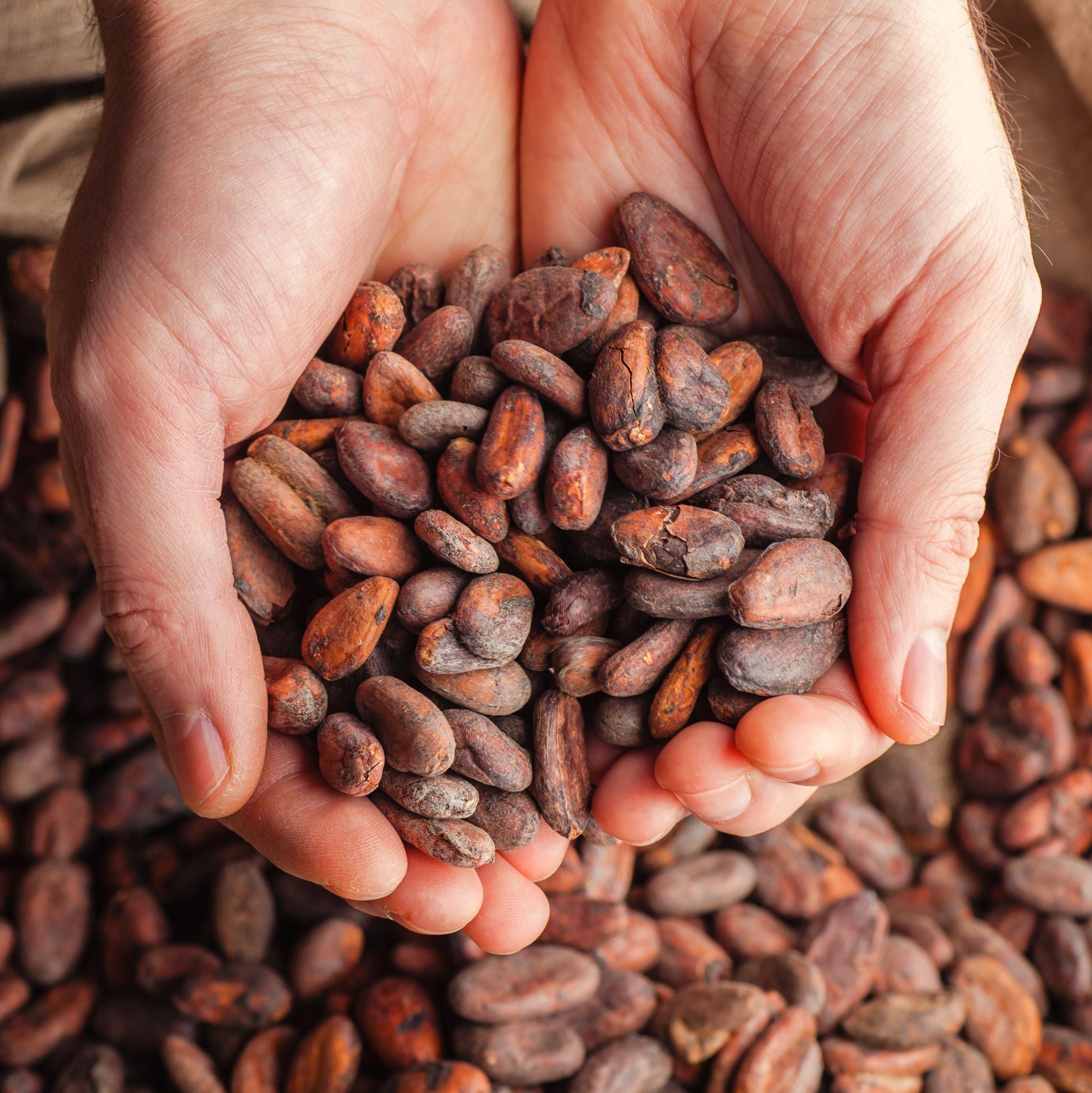 Cocoa Butter Organic unrefined