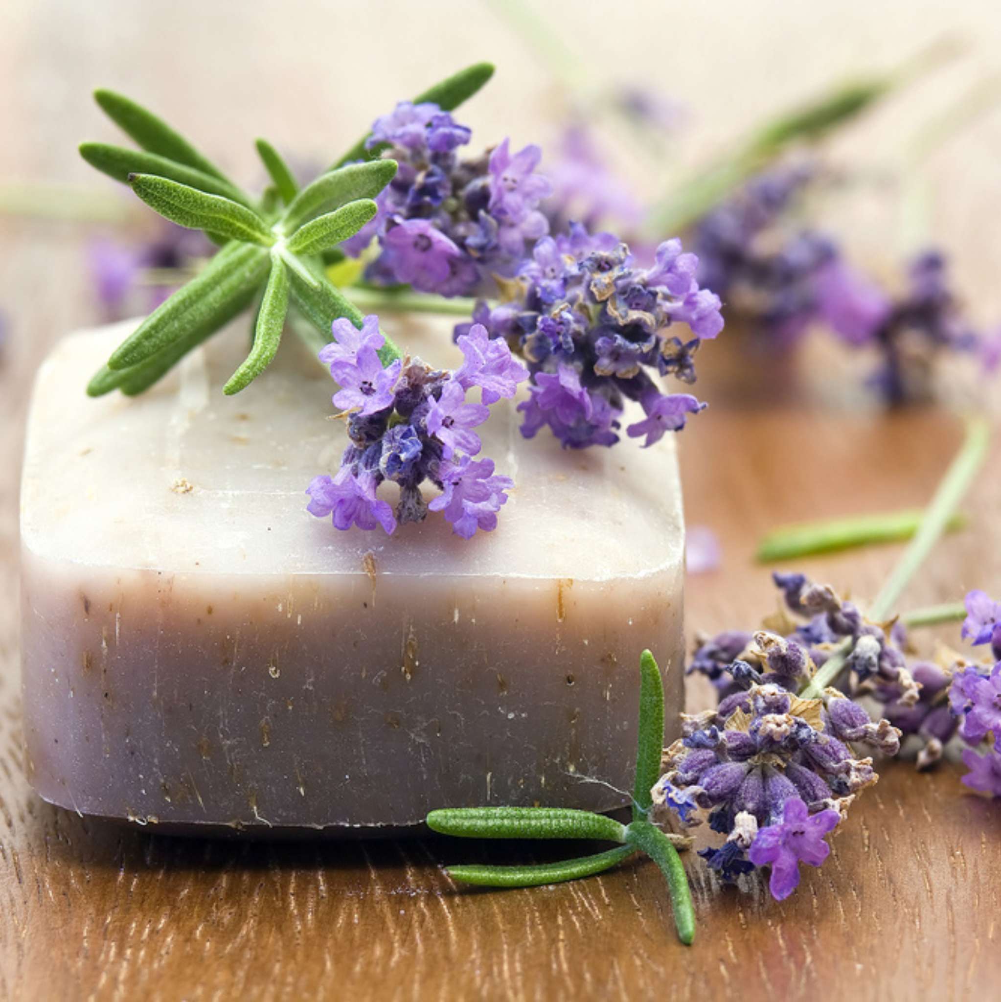 Lavender Mt. Blanc 38/40 Essential Oil