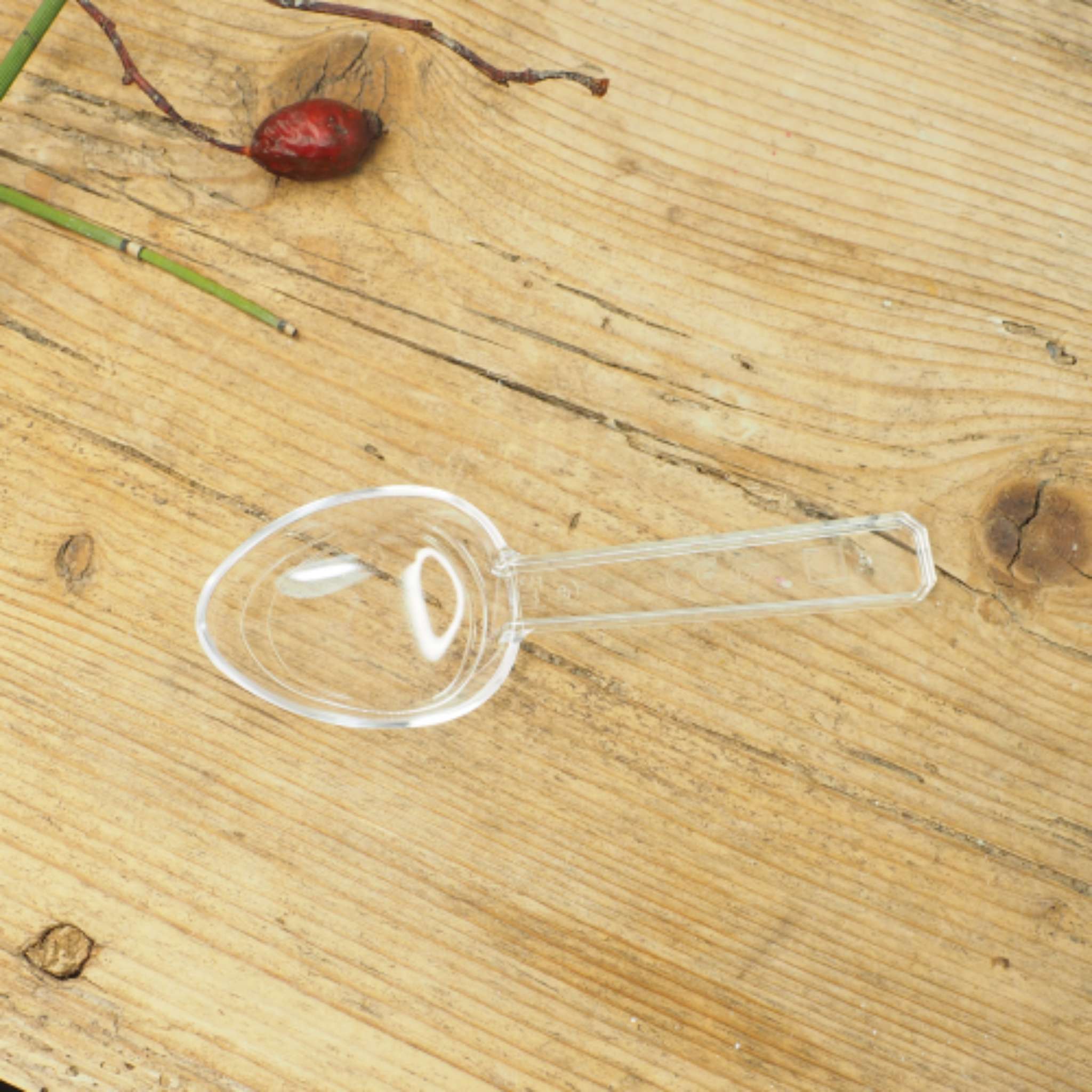 Measuring Spoon PP