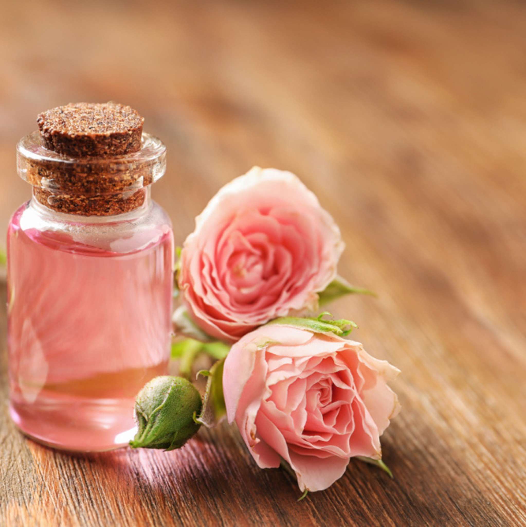 Rose Bulgarian Absolute Oil Dilution