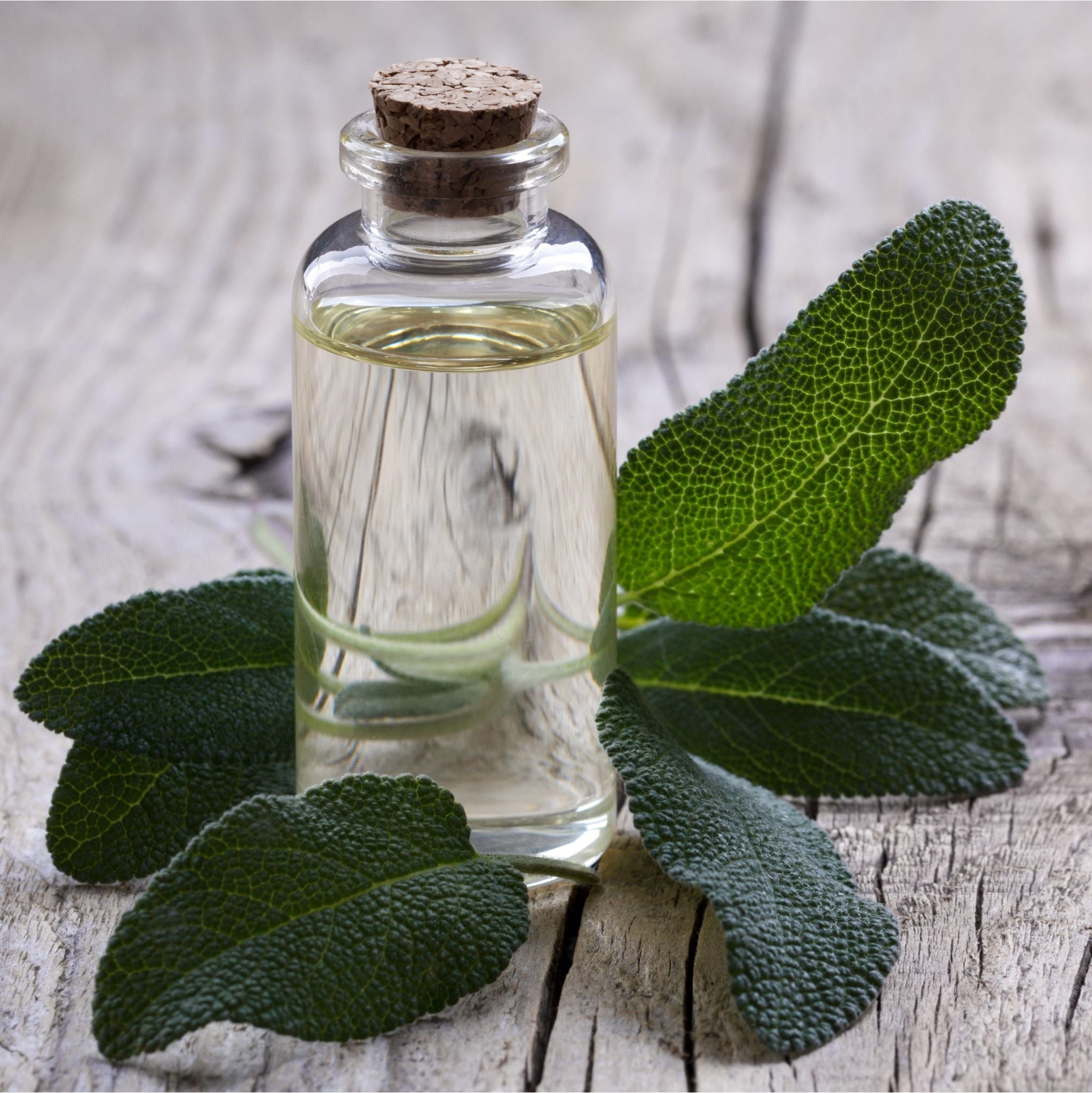 Salbeihydrolat *BIO - aus Österreich