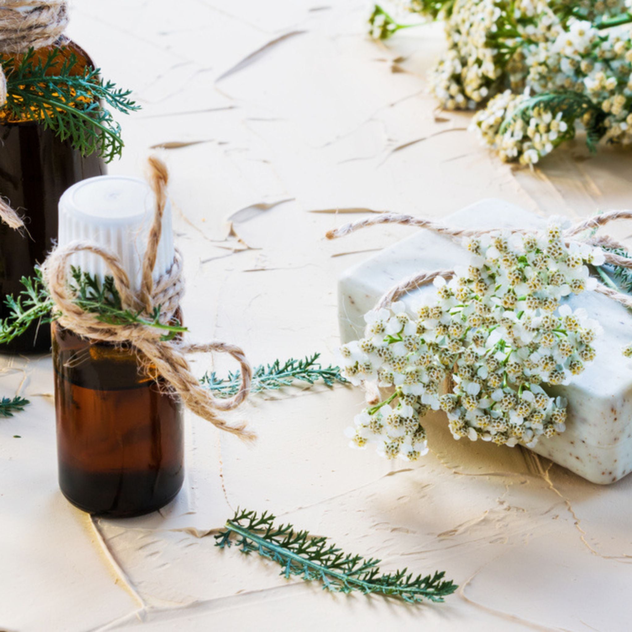 Yarrow Chamazulene Blue Essential Oil