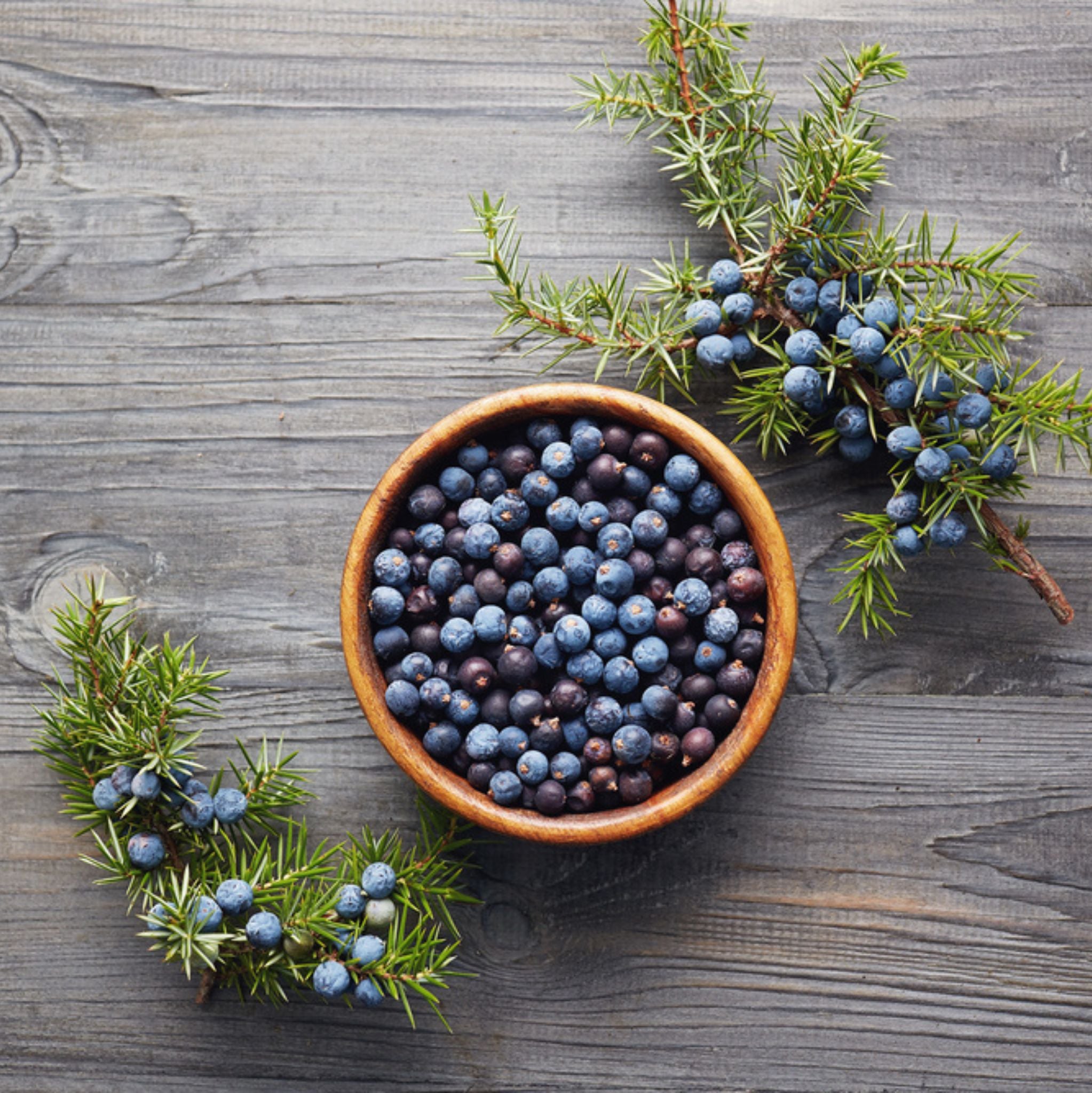 Juniper Berry Himalayan Essential Oil