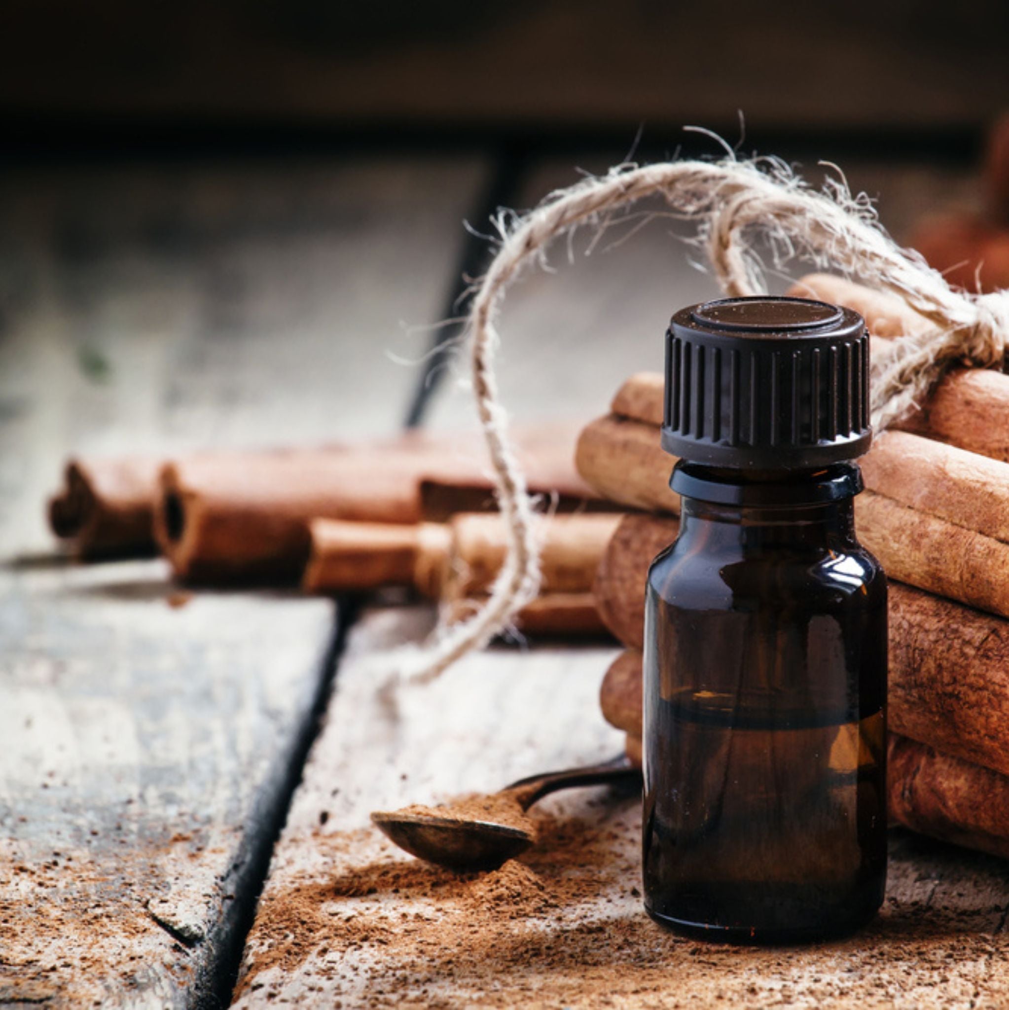 Cinnamon Bark Essential Oil