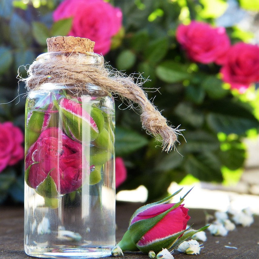 Rose Blossom Hydrosol Organic - from Bulgaria