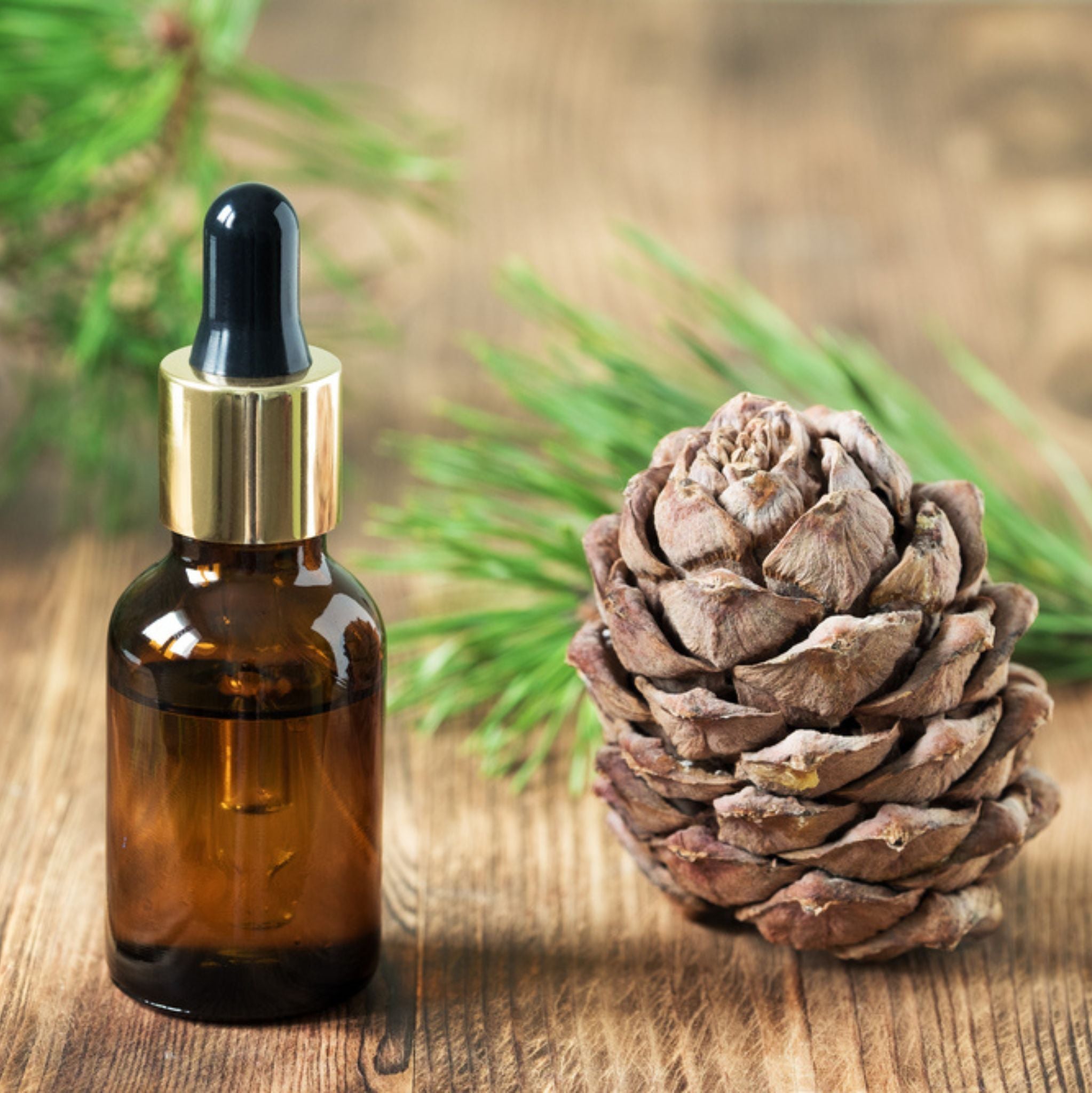 Cedarwood Himalayan Essential