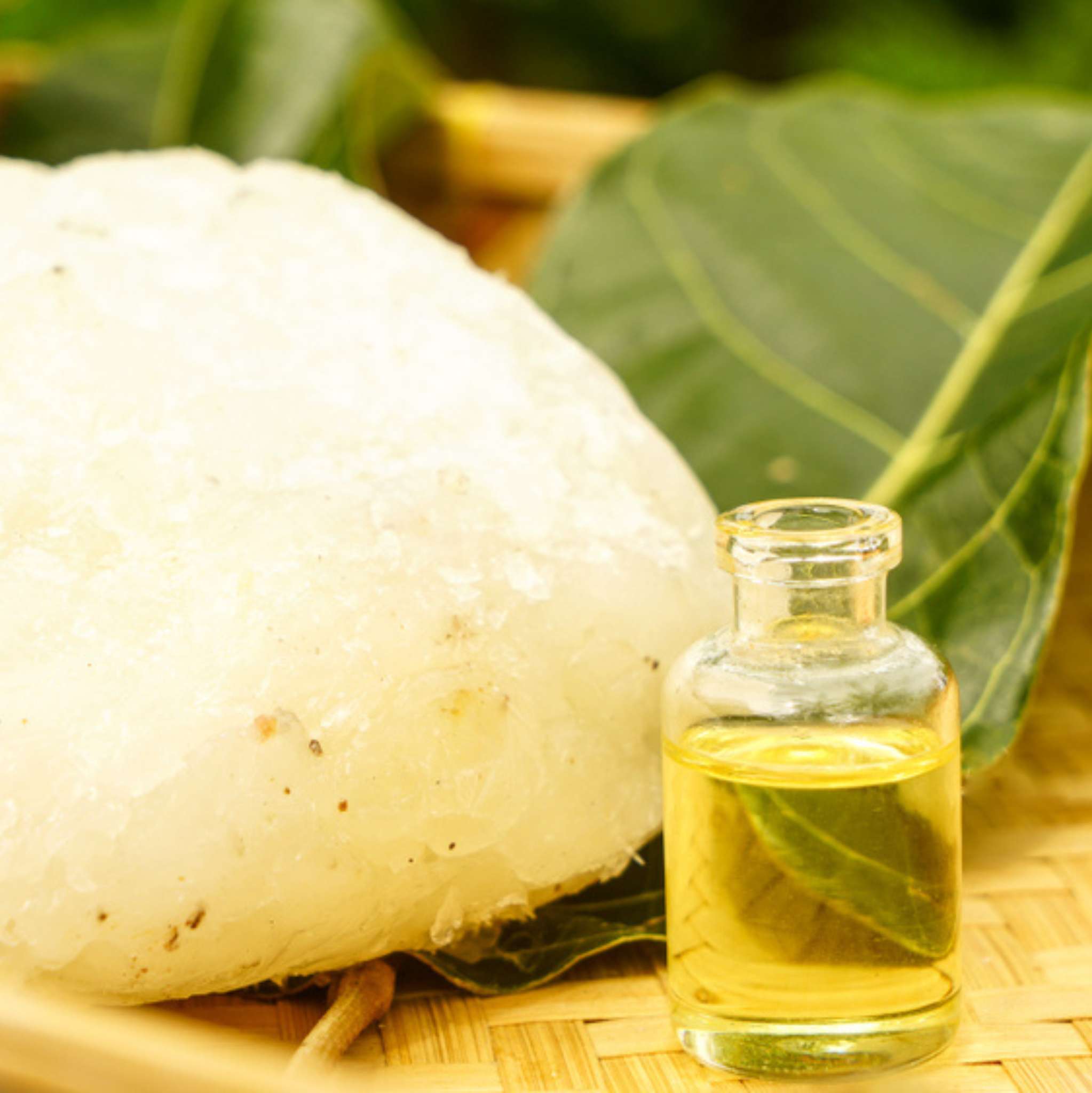 Elemi Essential Oil