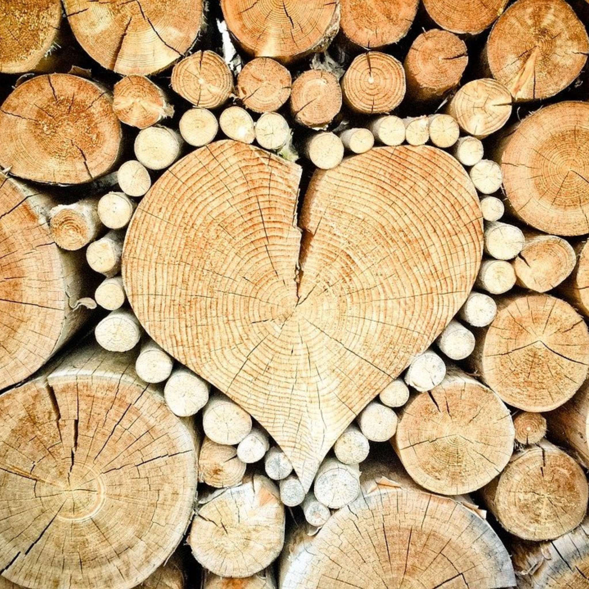 Ho Wood Organic Essential Oil