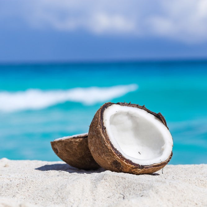 Coconut Fragrance Oil