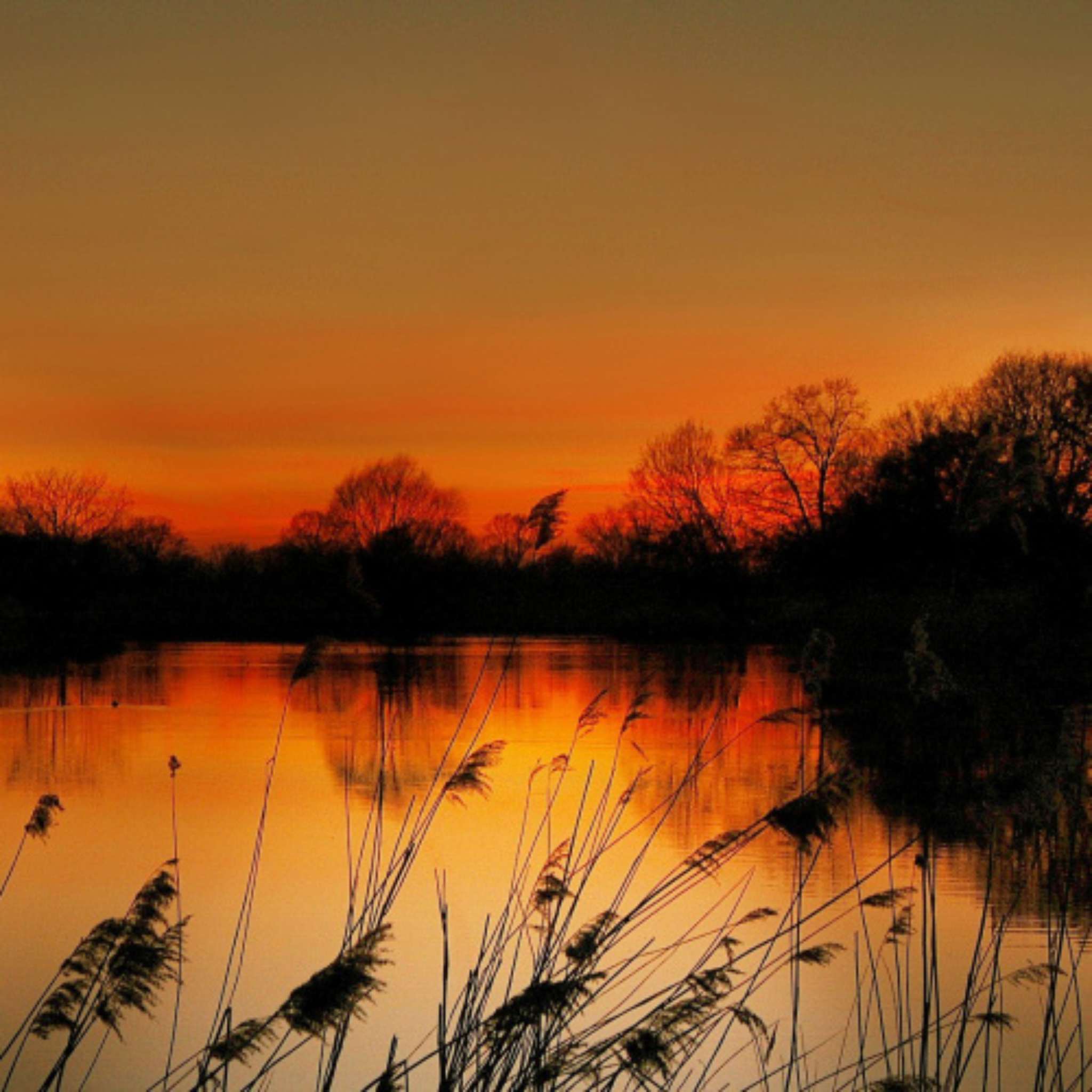 Amber Glow kosmetisches Duftöl