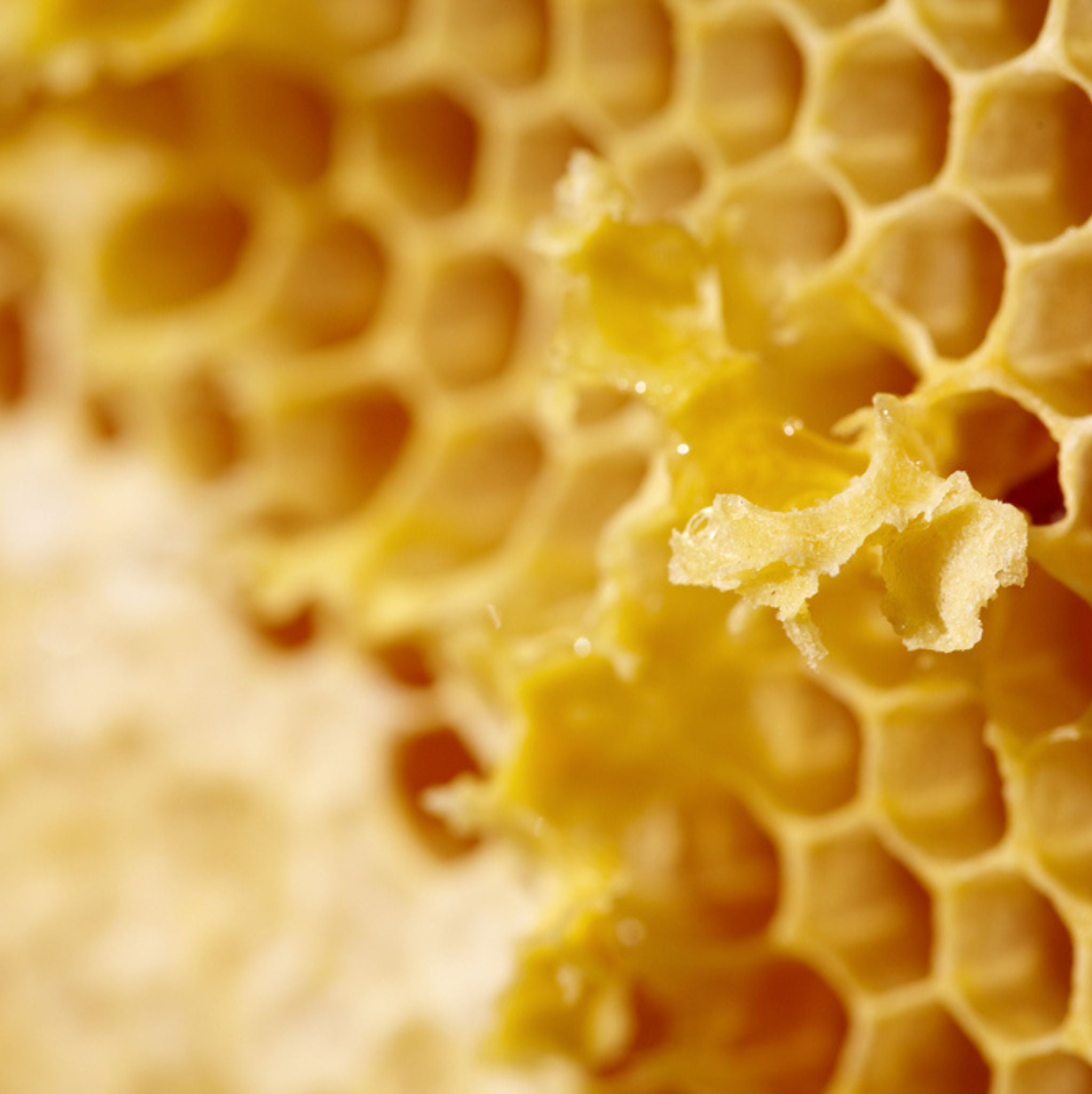 Beeswax Cosmetic