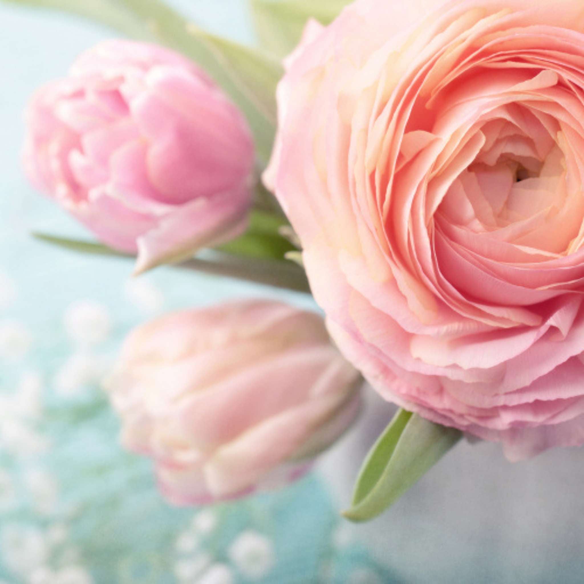 English Rose Fragrance Oil