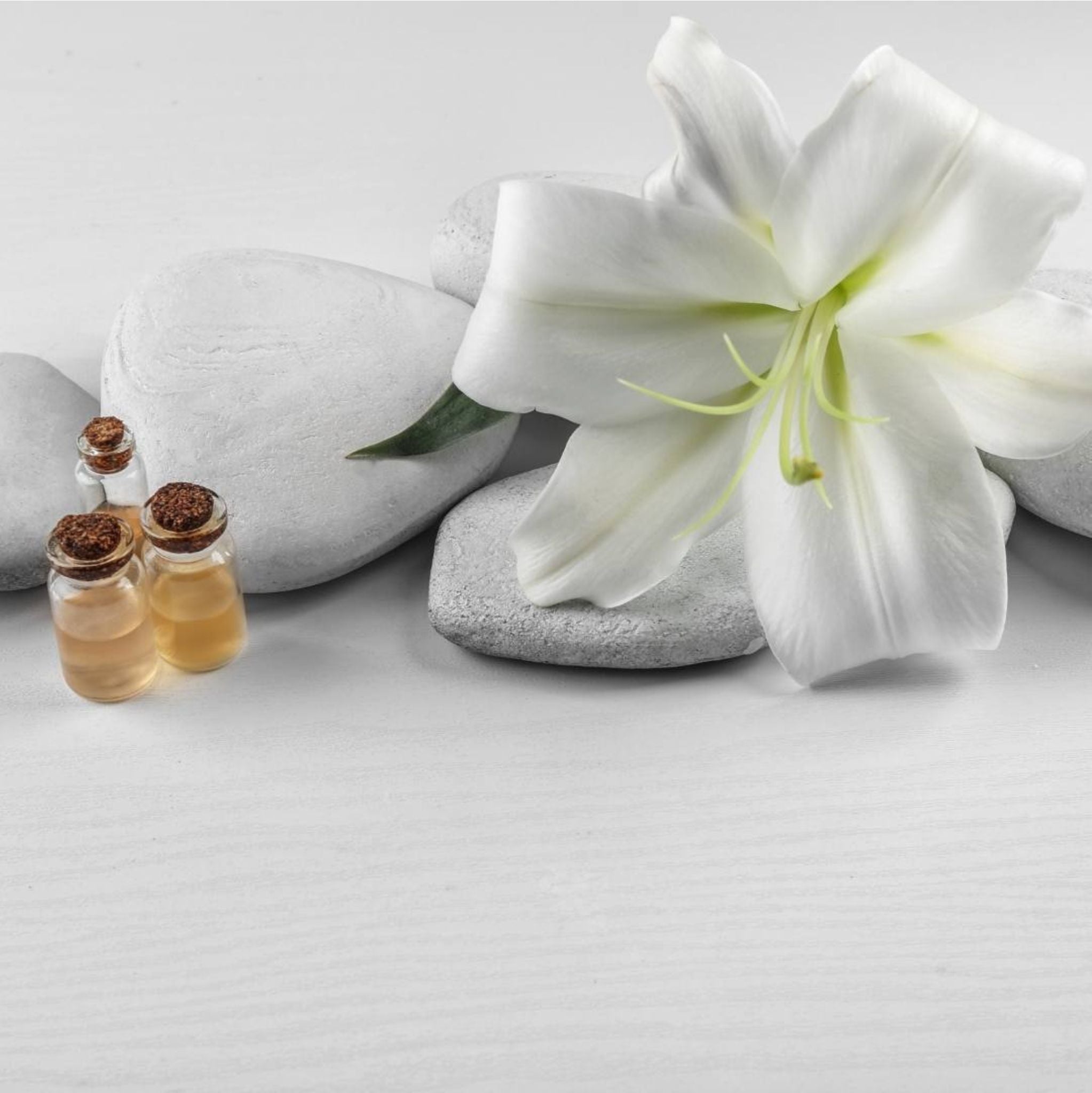 White Lily Oil Macerate