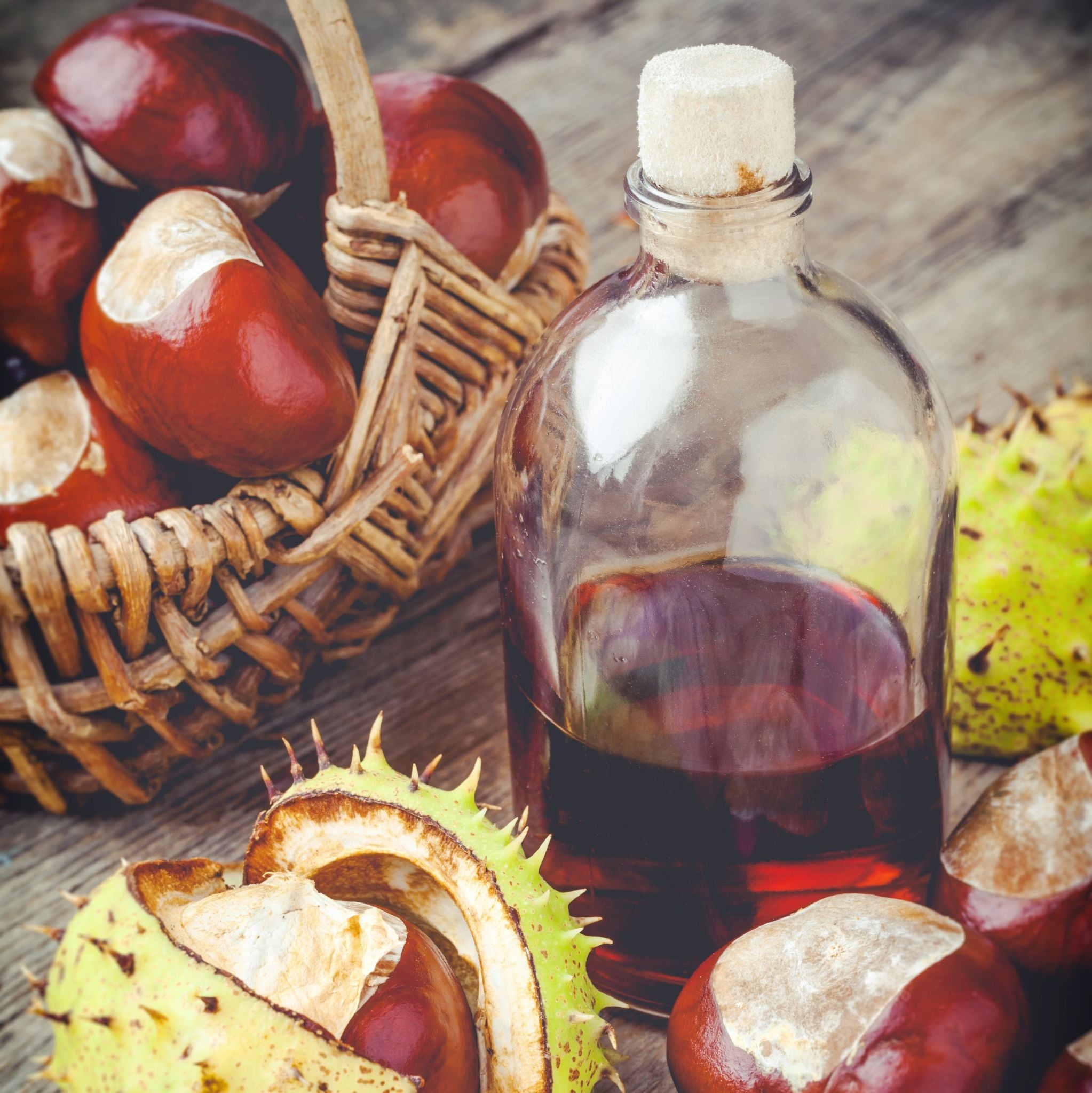 Horse Chestnut Extract